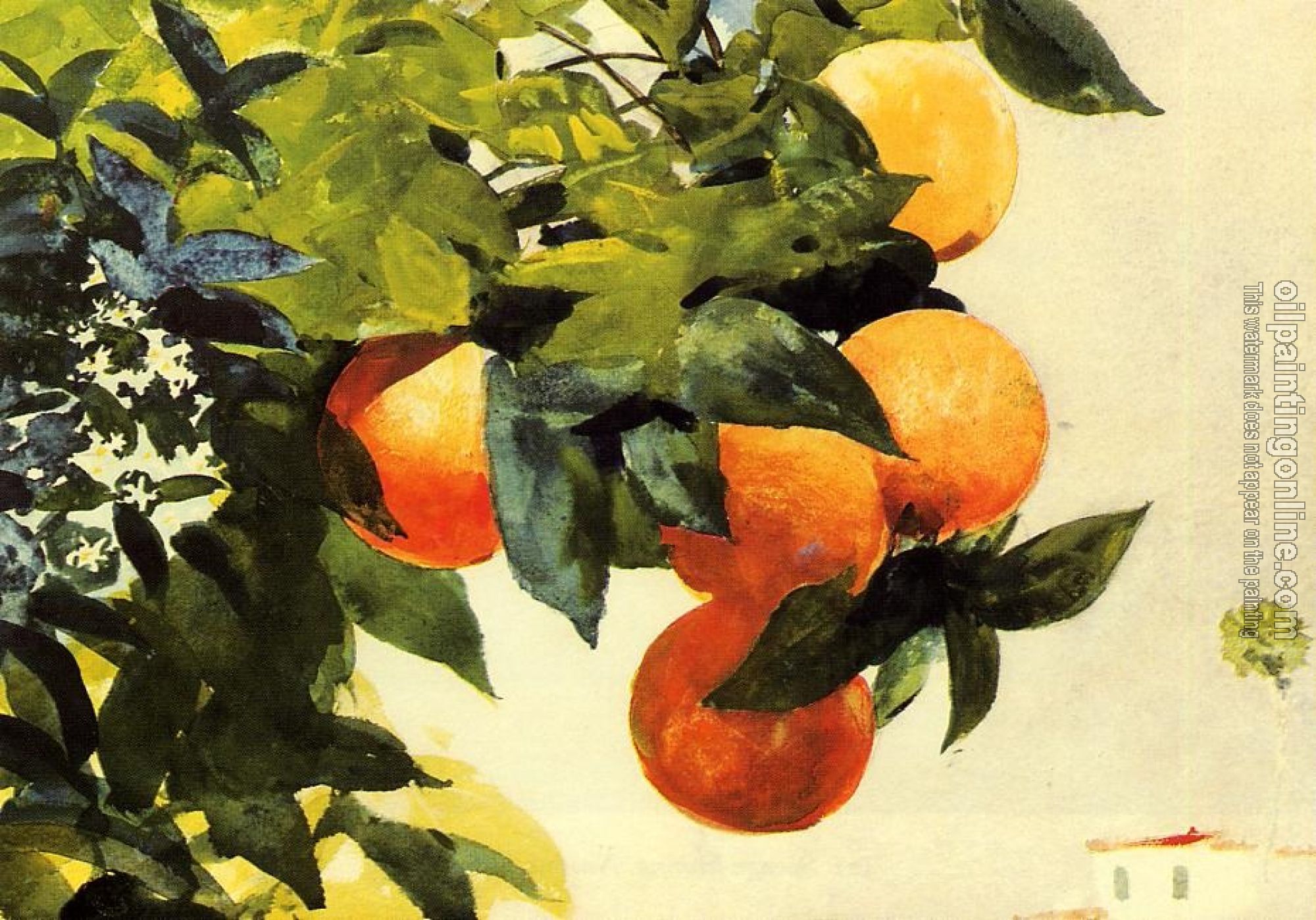 Homer, Winslow - Oranges on a Branch